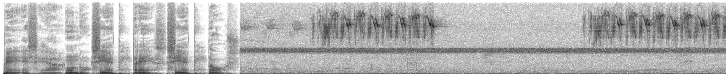 Zuckervogel - ML267029