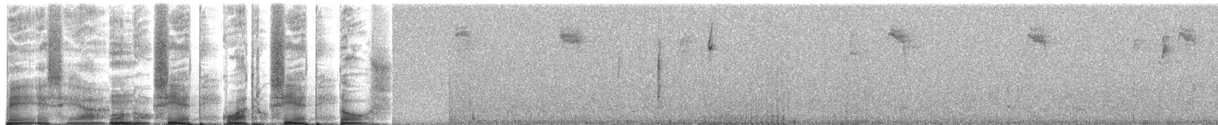 Black-headed Hemispingus - ML267129
