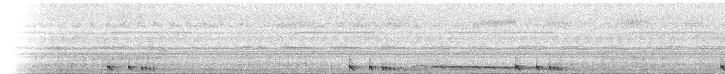 Sulawesinachtschwalbe - ML267143741
