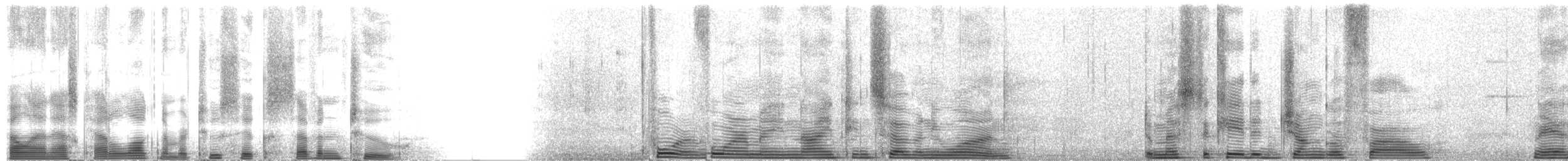 Bankivahuhn (domestiziert) - ML2672