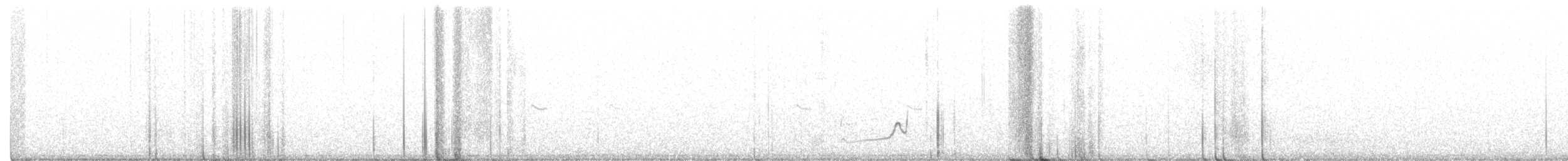 Snowy Plover - ML267209961