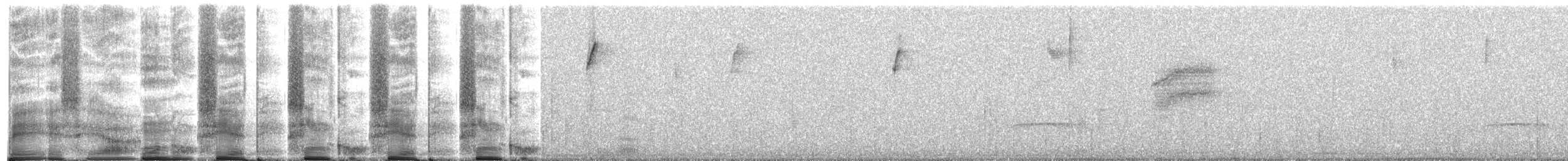 Kara Başlı Hemispingus - ML267232