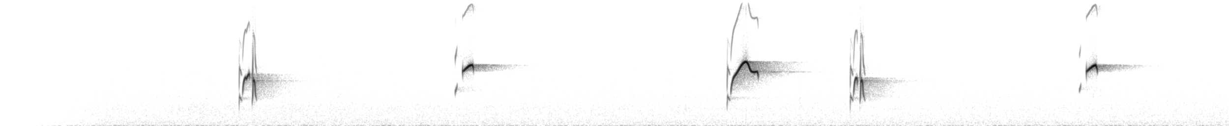 Moucherolle obscur (occidentalis/hellmayri) - ML267279251