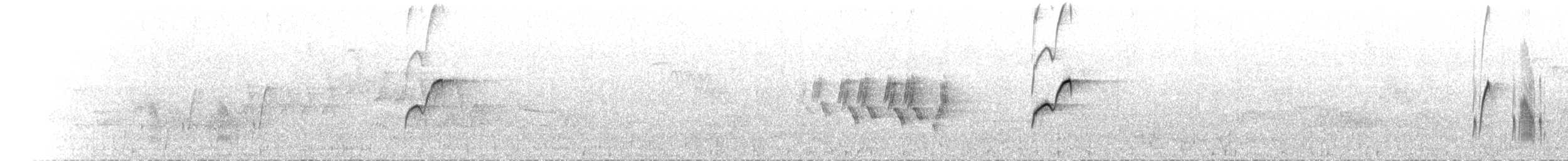Batı Amerika Sinekkapanı (occidentalis/hellmayri) - ML267282731