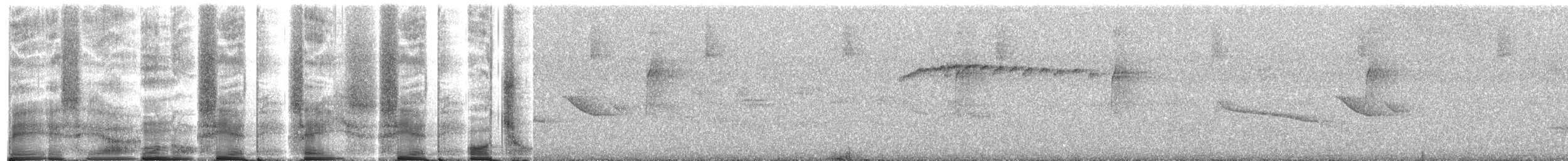 Tamatia brun - ML267335