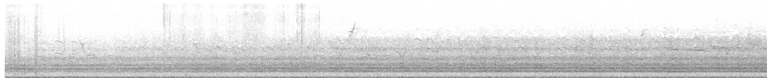 Oca lombardella - ML267416981