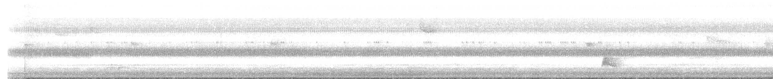 Wood Thrush - ML267426351