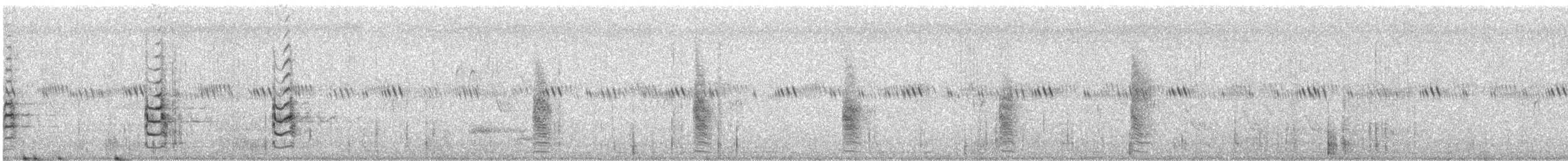 Long-tailed Shrike - ML267471731