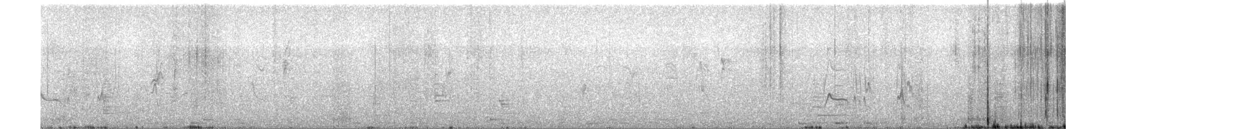 Küçük Kuyruksallayan Tiranı (bahiae) - ML267504691