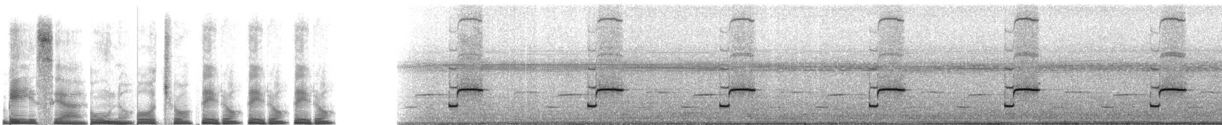 Lesser Antillean whistling frog - ML267508