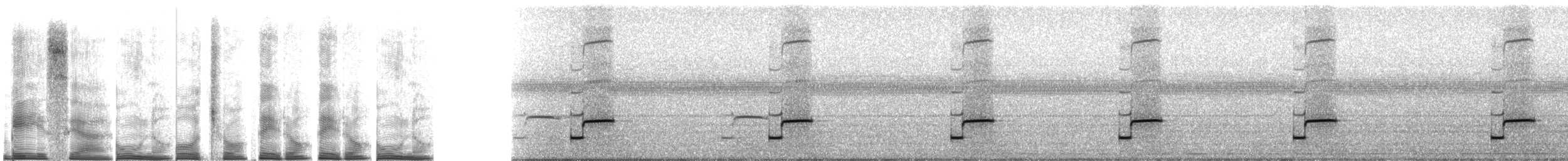 Lesser Antillean whistling frog - ML267509