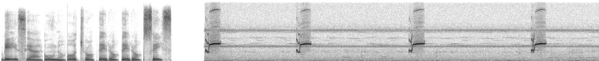 Lesser Antillean whistling frog - ML267514