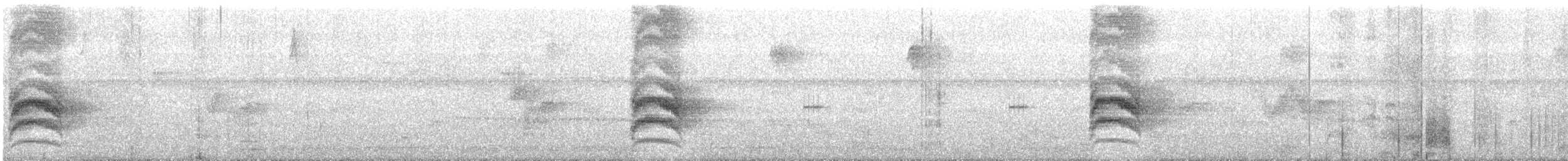 Chestnut-backed Antbird - ML267539451