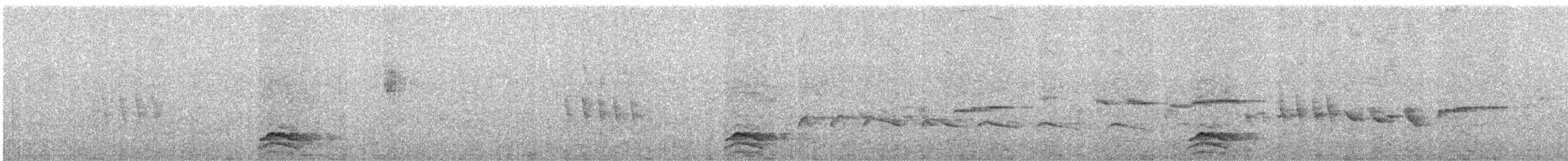 Tinamou à capuchon - ML267636521