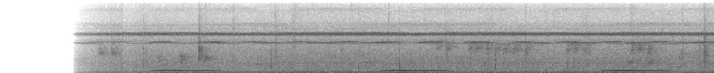 Spotted Buttonquail - ML267662491