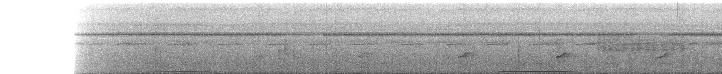 Spotted Buttonquail - ML267666251