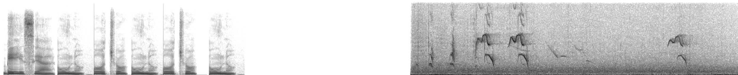 Merle géant - ML267689