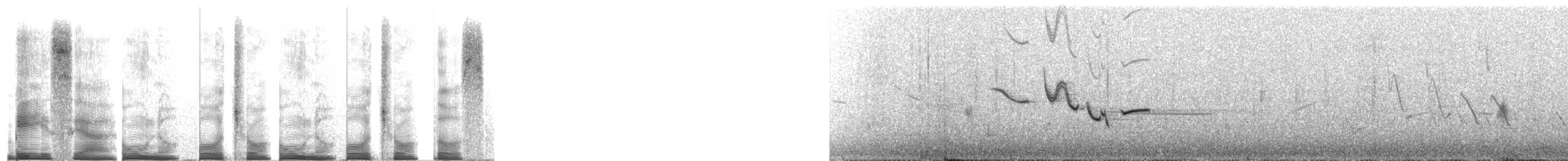 Sturnelle des prés - ML267690