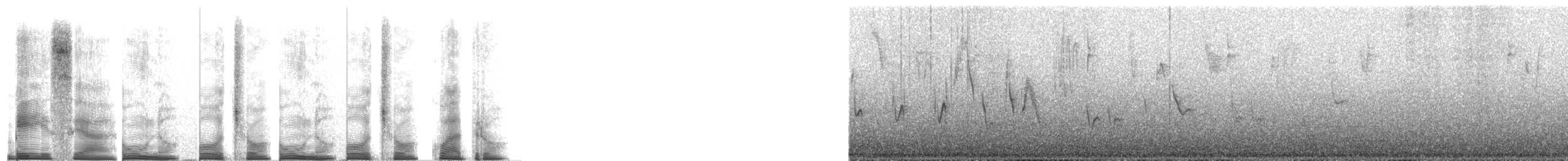 Troglodyte austral - ML267692