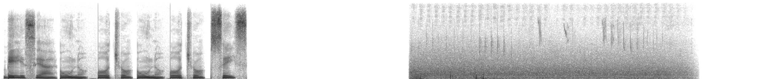 oiseau sp. - ML267694