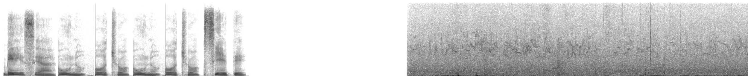 Tarin des Andes - ML267695