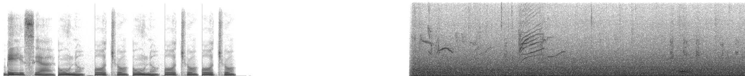 oiseau sp. - ML267696