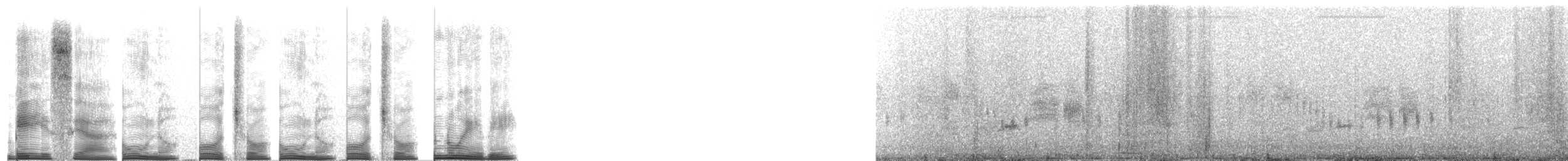 Troglodyte d'Apolinar - ML267697