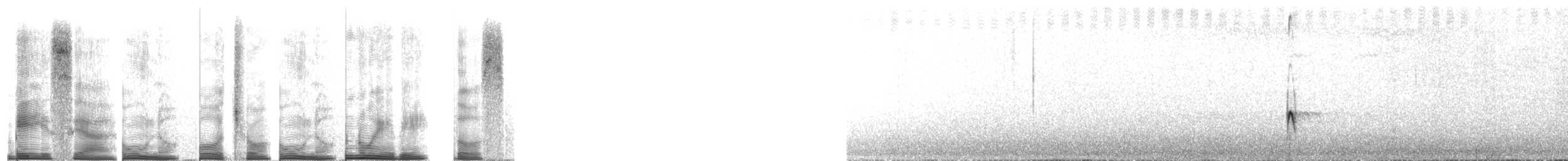 Pitajo à dos brun - ML267700