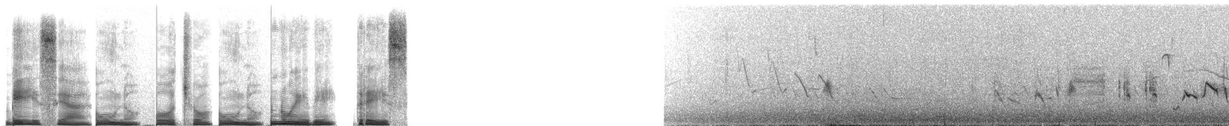 Troglodyte austral - ML267701