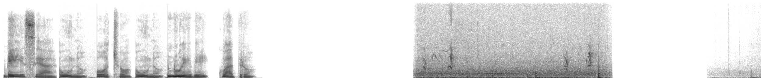 Merle géant - ML267702