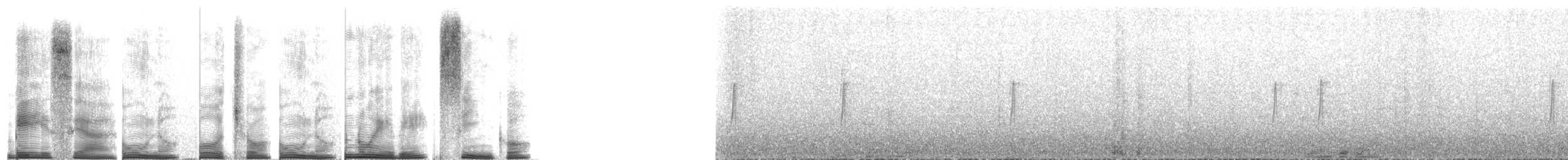 Tyranneau à gorge blanche - ML267703