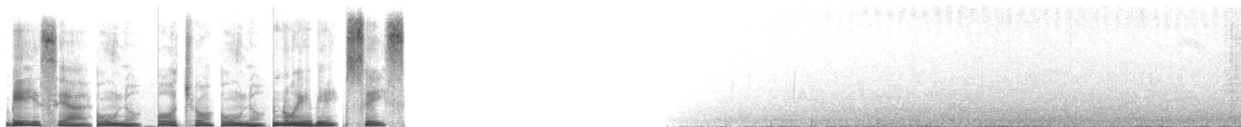 Tyranneau à gorge blanche - ML267704