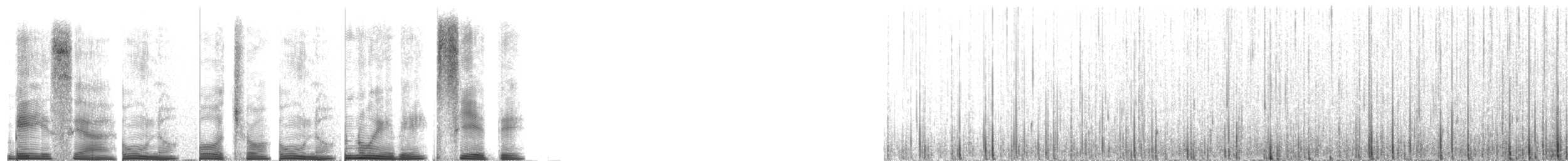 Yellow Tree Frogs - ML267705