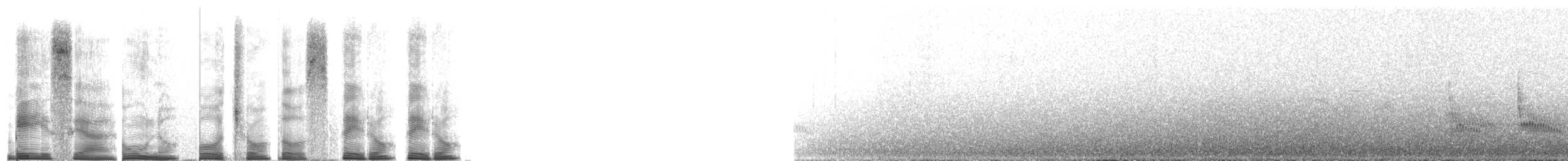 oiseau sp. - ML267708