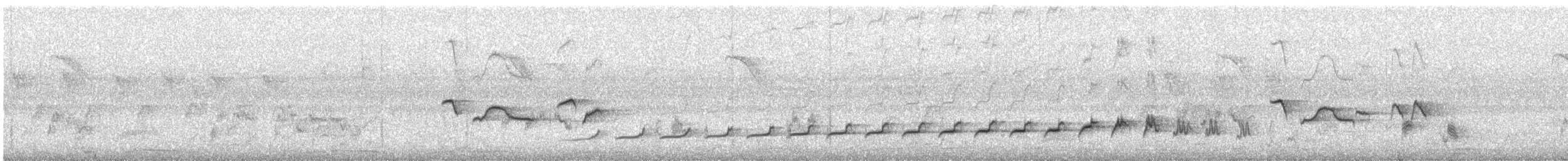 Fork-tailed Drongo-Cuckoo - ML267710741