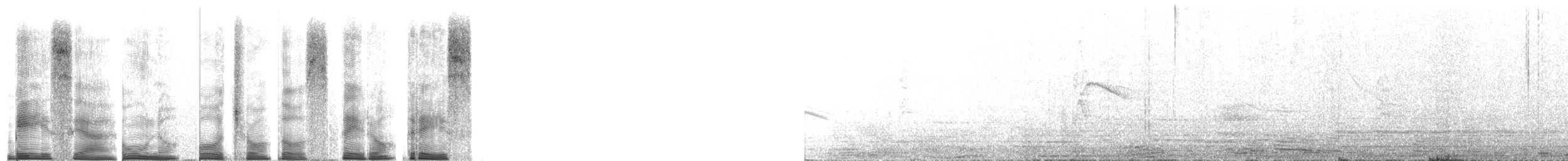 Bruant chingolo - ML267711