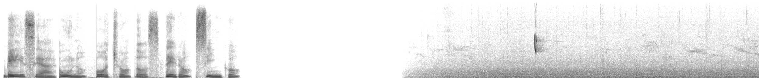 Bruant chingolo - ML267713