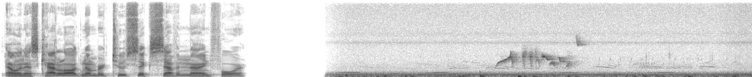 Vireo Ojiblanco (grupo griseus) - ML26794