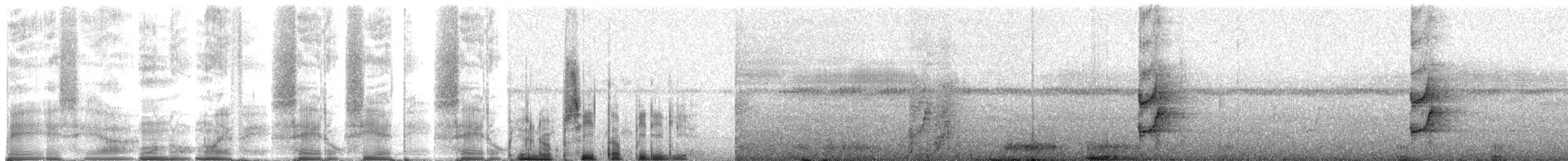 Saffron-headed Parrot - ML267949