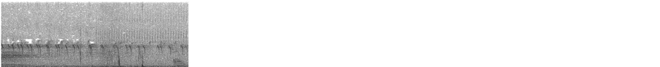 Red Crossbill (Appalachian or type 1) - ML268064671