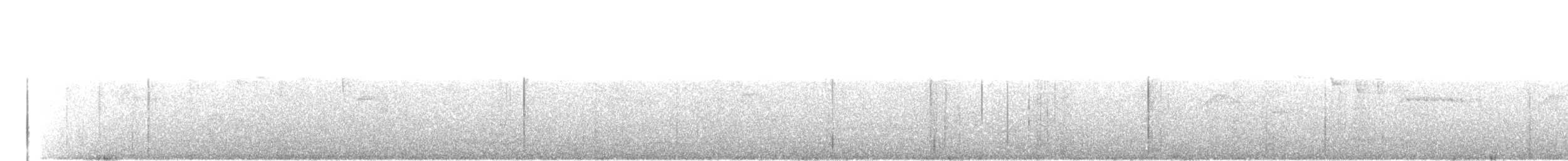 Roitelet huppé (azoricus) - ML26812341