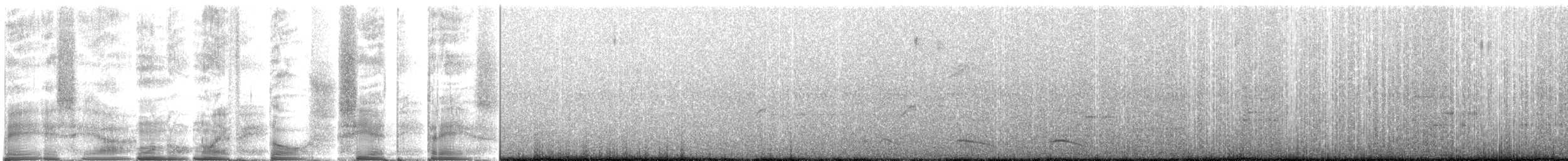 Trogon rosalba (groupe collaris) - ML268149