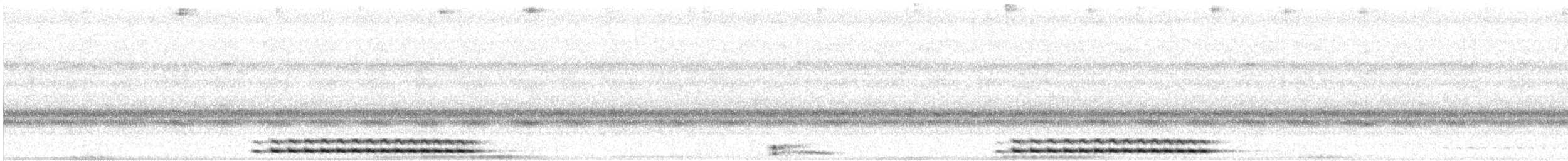 Western Screech-Owl - ML268192251