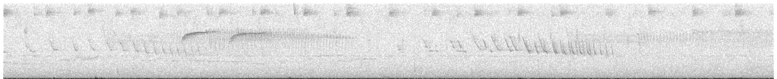 オジロフタスジタイランチョウ - ML268328411