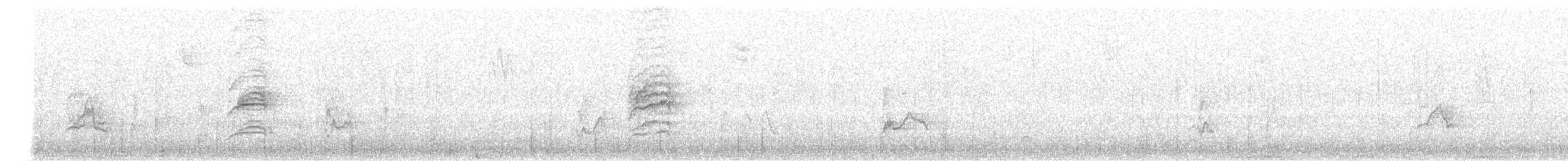 Дрізд-короткодзьоб плямистоволий - ML268364411