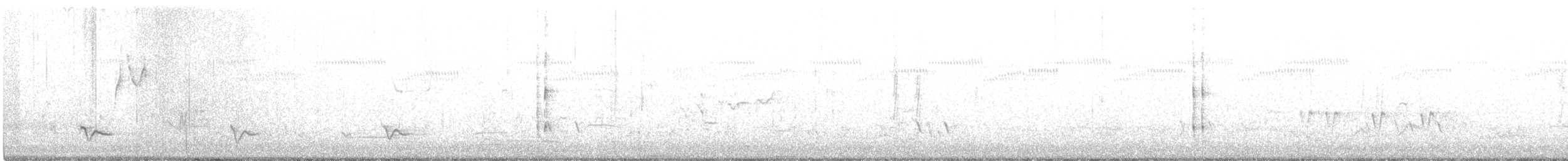 Полосатый трескун - ML268392001