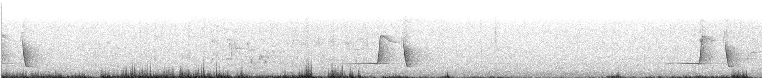 Schlichtmantel-Dickkopf - ML268397111