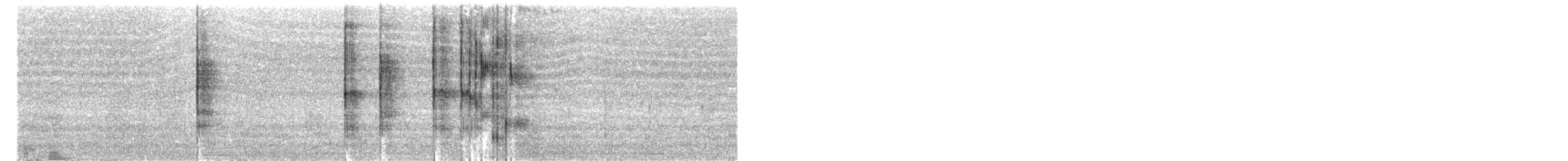 Weißflanken-Dunkeltyrann - ML268410421