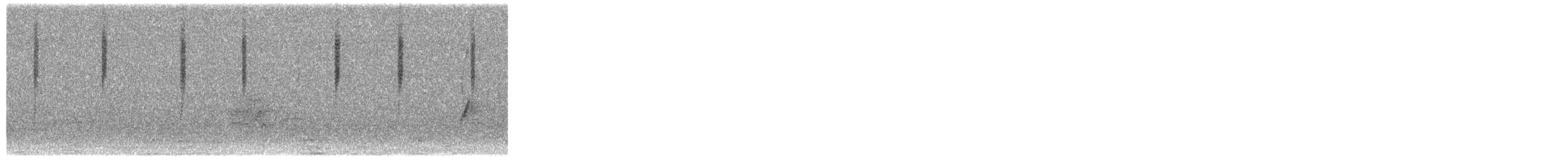 Dusky Hummingbird - ML268454021