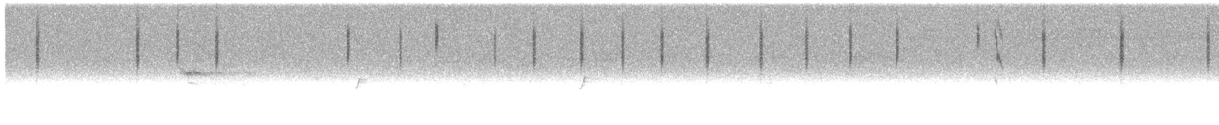 Dusky Hummingbird - ML268454051